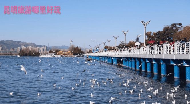 昆明旅游哪里好玩?都是有哪些比较好玩的地方?