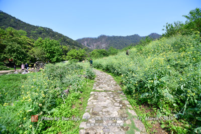 龙川桥、