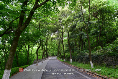 华山南路传统商铺建筑群图片|华山南路传统商铺建筑群门票多少钱|华山南路传统商铺建筑群在哪里