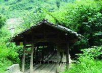 罗坎镇风光图片|罗坎镇风光门票多少钱|罗坎镇风光在哪里