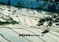 绥江县梯田图片|绥江县梯田门票多少钱|绥江县梯田在哪里