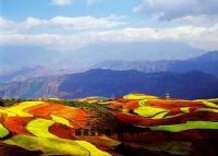 东川红土图片|东川红土门票多少钱|东川红土在哪里