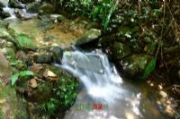 深沟森林公园图片|深沟森林公园门票多少钱|深沟森林公园在哪里