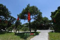 亚坪步道图片|亚坪步道门票多少钱|亚坪步道在哪里