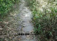 兰坪茶马古道风景区图片|兰坪茶马古道风景区门票多少钱|兰坪茶马古道风景区在哪里