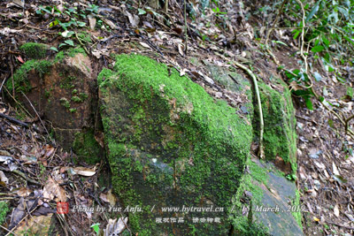 水富大峡谷图片|水富大峡谷门票多少钱|水富大峡谷在哪里