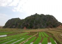 狮子山岩画图片|狮子山岩画门票多少钱|狮子山岩画在哪里