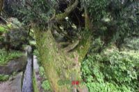 贡山景区图片|贡山景区门票多少钱|贡山景区在哪里
