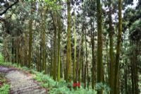 月亮山风景名胜区图片|月亮山风景名胜区门票多少钱|月亮山风景名胜区在哪里