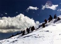巴哈雪山图片|巴哈雪山门票多少钱|巴哈雪山在哪里