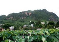 天壁山图片|天壁山门票多少钱|天壁山在哪里