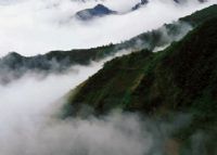 无量山图片|无量山门票多少钱|无量山在哪里