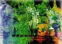 花山湖彩云洞图片|花山湖彩云洞门票多少钱|花山湖彩云洞在哪里