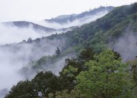 菌子山图片|菌子山门票多少钱|菌子山在哪里