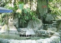 樱花谷图片|樱花谷门票多少钱|樱花谷在哪里