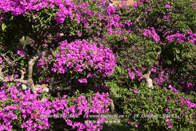彝寨小黑达图片|彝寨小黑达门票多少钱|彝寨小黑达在哪里