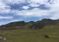 开远大黑山图片|开远大黑山门票多少钱|开远大黑山在哪里