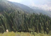 老阴山图片|老阴山门票多少钱|老阴山在哪里