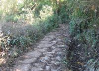 蒙蛮古道图片|蒙蛮古道门票多少钱|蒙蛮古道在哪里
