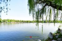 蒙自小西湖图片|蒙自小西湖门票多少钱|蒙自小西湖在哪里
