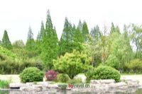尼格温泉图片|尼格温泉门票多少钱|尼格温泉在哪里