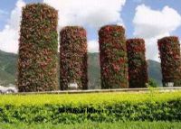 西隆山自然保护区图片|西隆山自然保护区门票多少钱|西隆山自然保护区在哪里