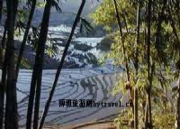 腊姑、桐株德玛梯田景区图片|腊姑、桐株德玛梯田景区门票多少钱|腊姑、桐株德玛梯田景区在哪里