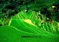 爱春景区图片|爱春景区门票多少钱|爱春景区在哪里