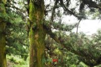 九鼎山图片|九鼎山门票多少钱|九鼎山在哪里