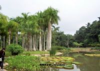 西双版纳热带植物园、
